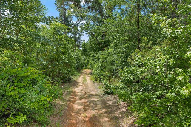 3077 W CR 436, Laneville, TX 75667
