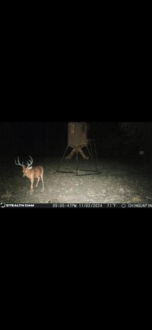 3077 W CR 436, Laneville, TX 75667