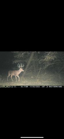 3077 W CR 436, Laneville, TX 75667