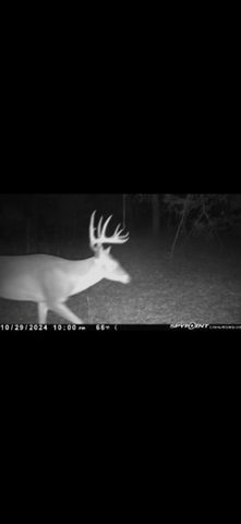 3077 W CR 436, Laneville, TX 75667