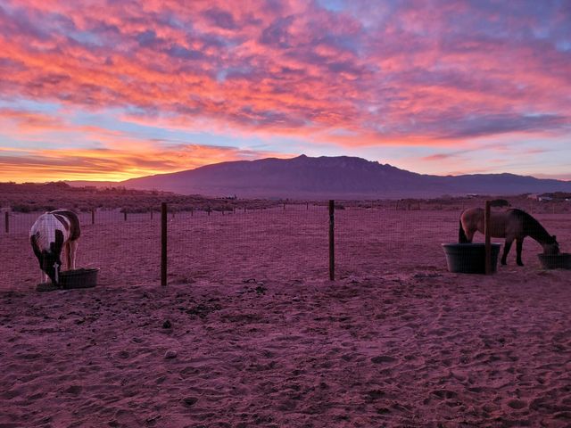 5719 Sarasota Road NE, Rio Rancho, NM 87144