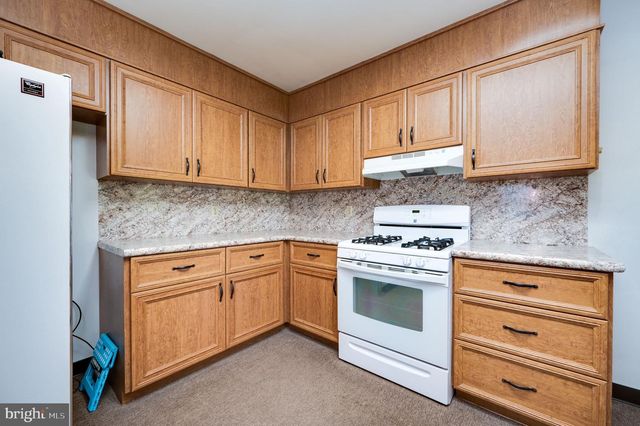 220 MAPLE SPRINGS DR, Birdsboro, PA 19508