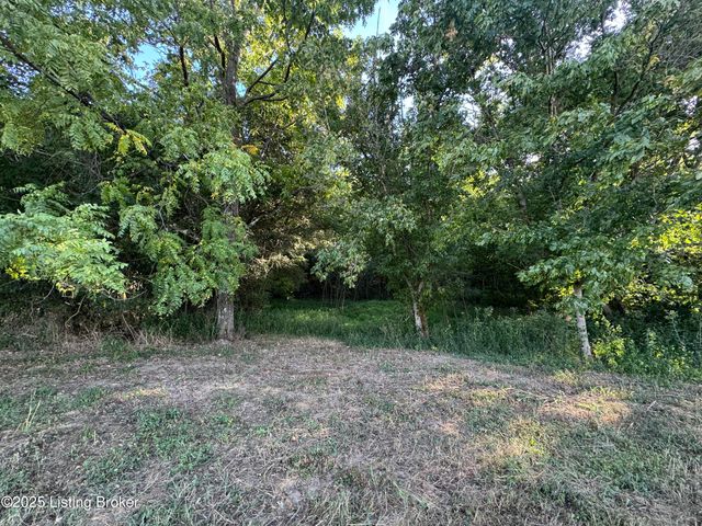 1 Bagdad Rd, Bagdad, KY 40003
