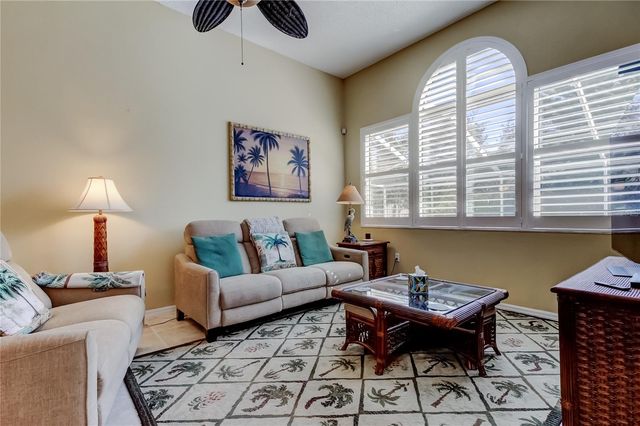 10290 OASIS PALM DRIVE, Tampa, FL 33615