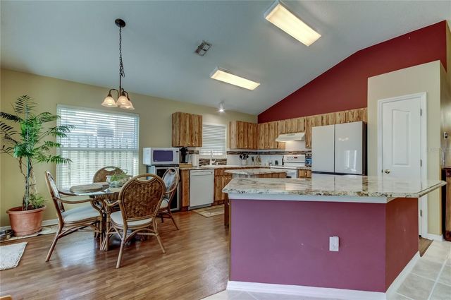 10290 OASIS PALM DRIVE, Tampa, FL 33615