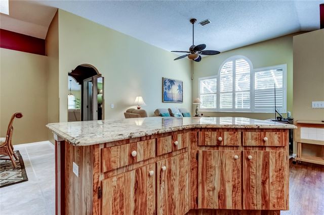 10290 OASIS PALM DRIVE, Tampa, FL 33615