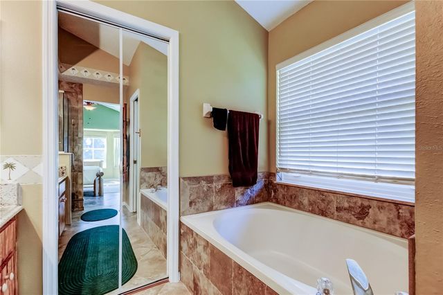 10290 OASIS PALM DRIVE, Tampa, FL 33615