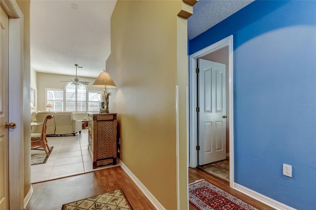 10290 OASIS PALM DRIVE, Tampa, FL 33615