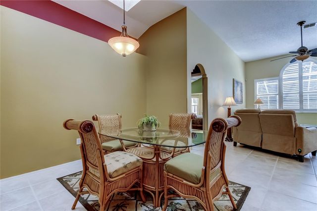 10290 OASIS PALM DRIVE, Tampa, FL 33615