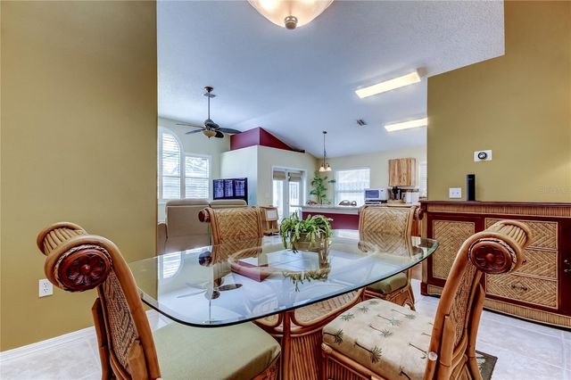 10290 OASIS PALM DRIVE, Tampa, FL 33615