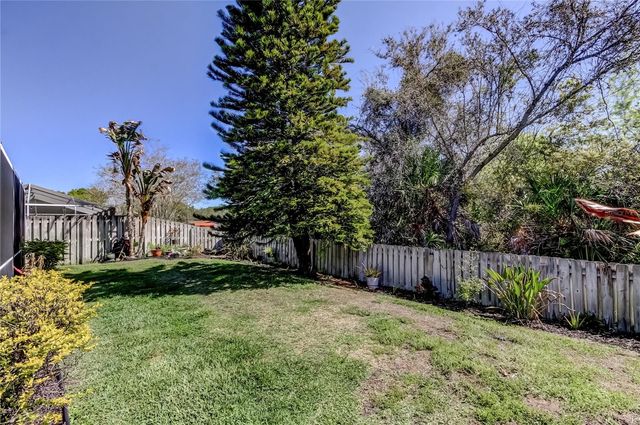 10290 OASIS PALM DRIVE, Tampa, FL 33615