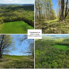 Barnum Road, Middlefield, NY 13320