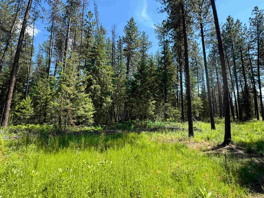 610 N A St, Springdale, WA 99173