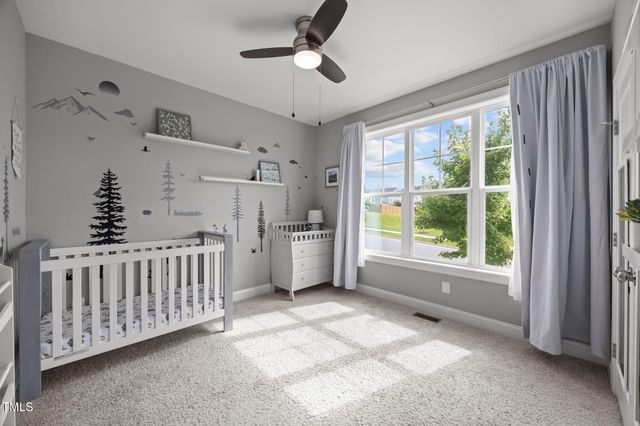 244 Thunder Forest Lane, Wendell, NC 27591