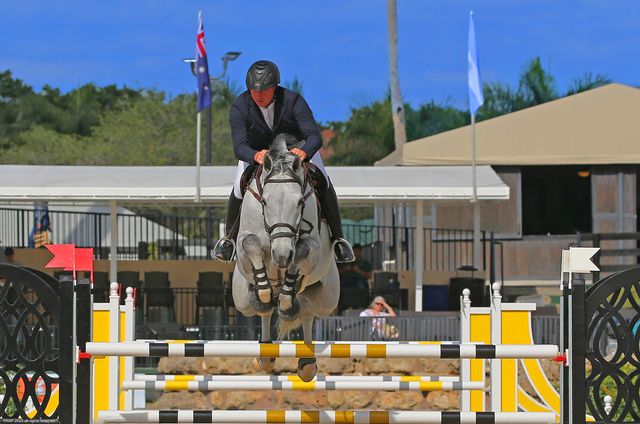 16219 Hollow Tree Lane, Wellington, FL 33470