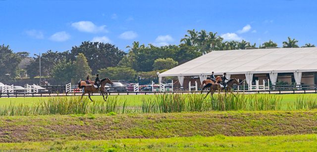 16219 Hollow Tree Lane, Wellington, FL 33470