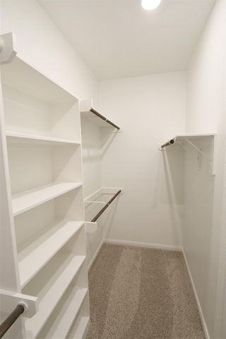 10031 Cloud Mist, Houston, TX 77080