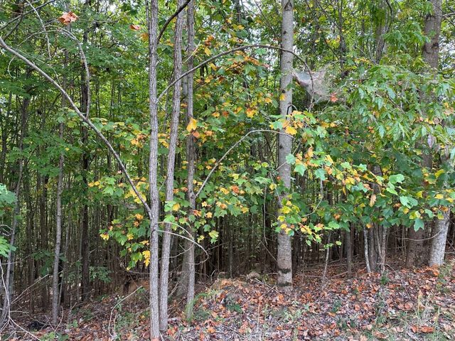 77 Thunder Ridge Drive, South Pittsburg, TN 37380