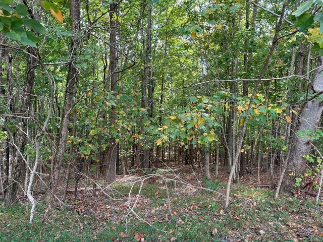 77 Thunder Ridge Drive, South Pittsburg, TN 37380