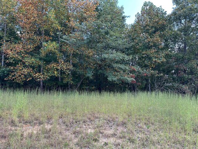 77 Thunder Ridge Drive, South Pittsburg, TN 37380