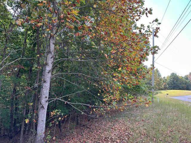 77 Thunder Ridge Drive, South Pittsburg, TN 37380