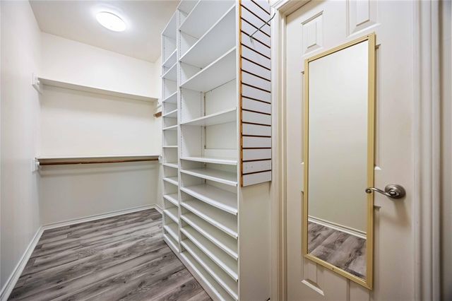 17102 Misty Creek Drive, Spring, TX 77379