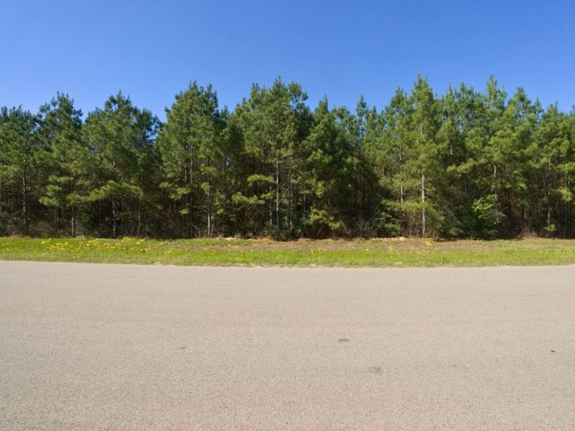 15761 Ridge Rock Road, Willis, TX 77378