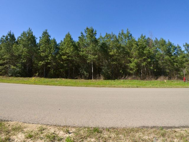 15761 Ridge Rock Road, Willis, TX 77378