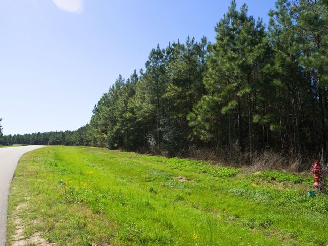 15761 Ridge Rock Road, Willis, TX 77378