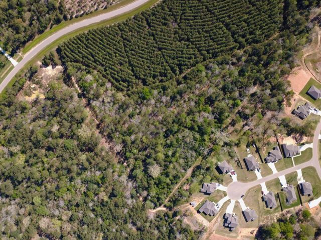 15761 Ridge Rock Road, Willis, TX 77378