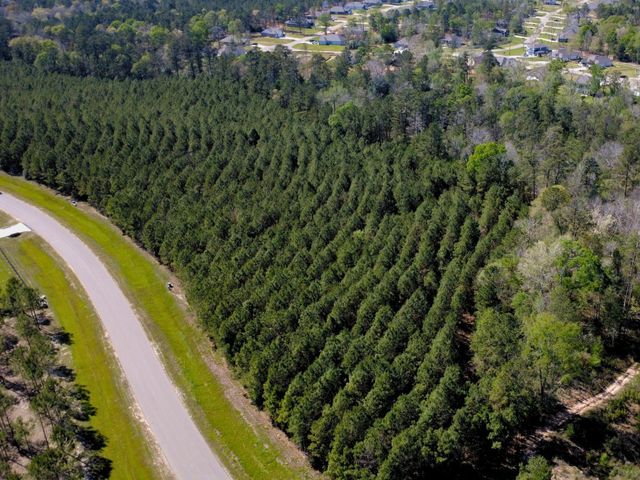 15761 Ridge Rock Road, Willis, TX 77378