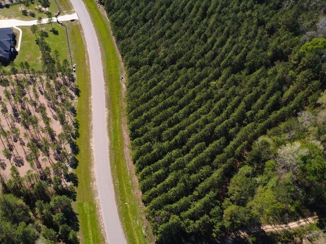 15761 Ridge Rock Road, Willis, TX 77378