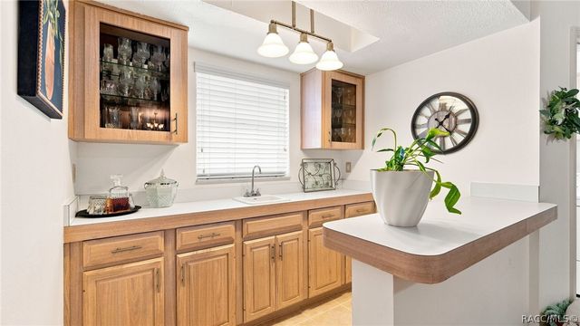 1140 S Softwind Loop, Lecanto, FL 34461