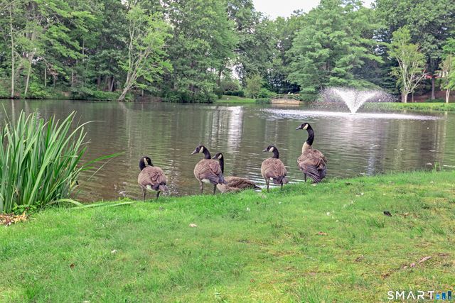 47 Woods Way 47, Woodbury, CT 06798