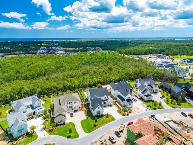 56 S Southern Cross Lane, Watersound, FL 32461