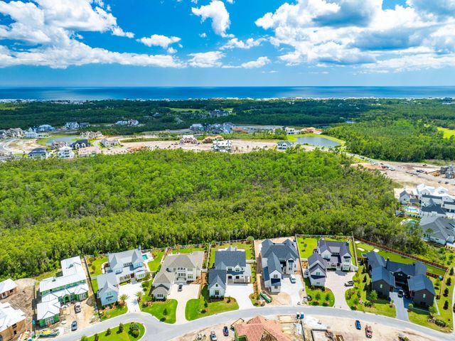 56 S Southern Cross Lane, Watersound, FL 32461
