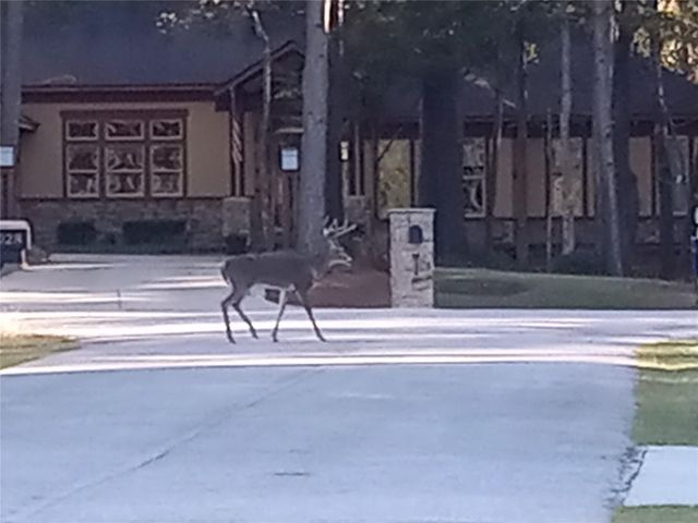 9024 Water Crest Court, Montgomery, TX 77316