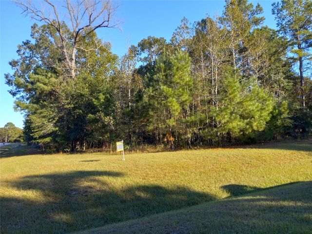 9024 Water Crest Court, Montgomery, TX 77316