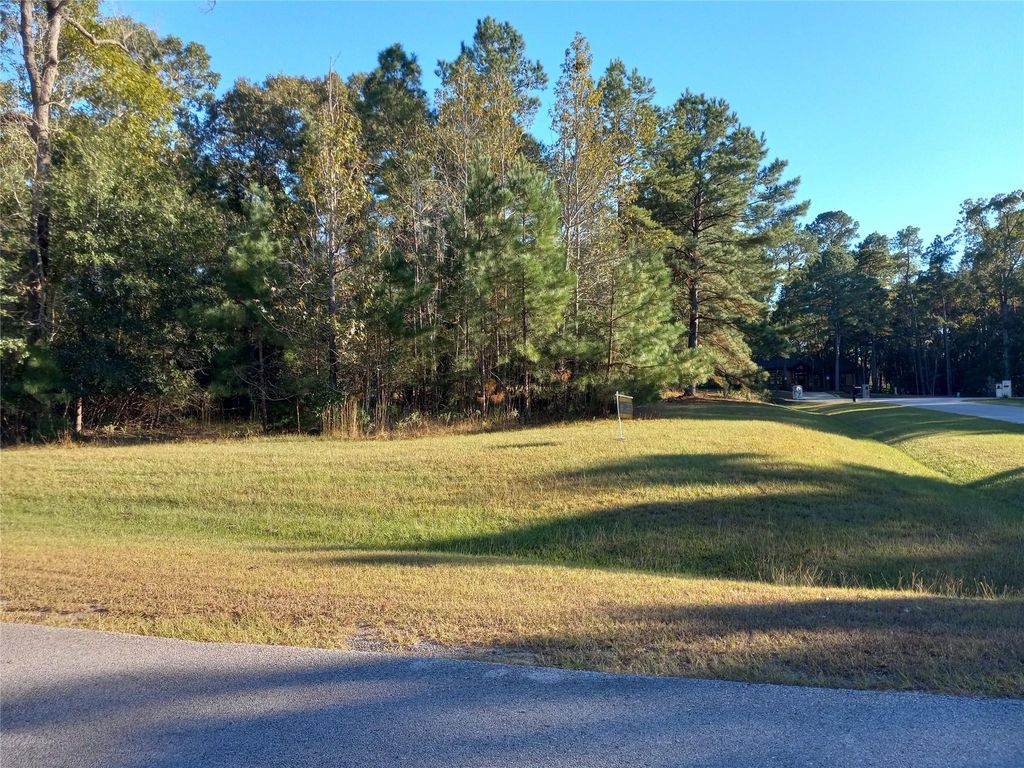 9024 Water Crest Court, Montgomery, TX 77316