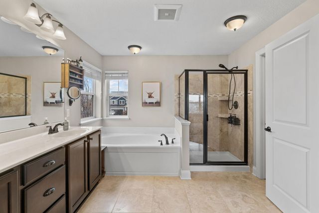 14183 Abbeyfield Court, Rosemount, MN 55068