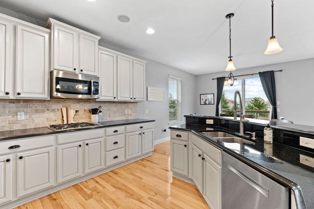 14183 Abbeyfield Court, Rosemount, MN 55068