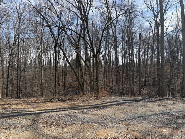 3212 Hunziker Lane, Fairview, TN 37062