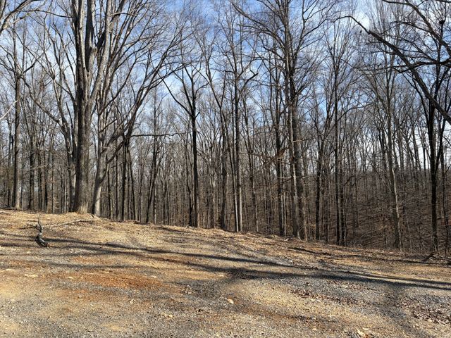 3212 Hunziker Lane, Fairview, TN 37062