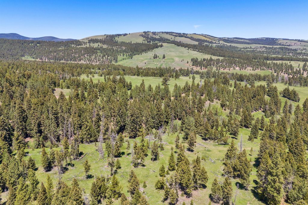 NHN N Fork Lower Willow Creek Road, Hall, MT 59837 photo 10