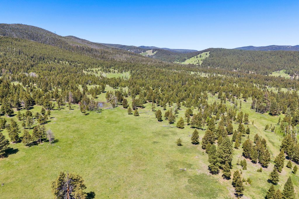 NHN N Fork Lower Willow Creek Road, Hall, MT 59837 photo 11