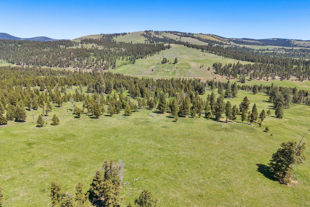 NHN N Fork Lower Willow Creek Road, Hall, MT 59837 photo 12