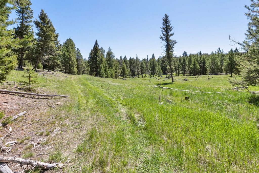 NHN N Fork Lower Willow Creek Road, Hall, MT 59837 photo 16