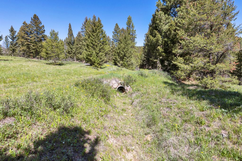 NHN N Fork Lower Willow Creek Road, Hall, MT 59837 photo 17