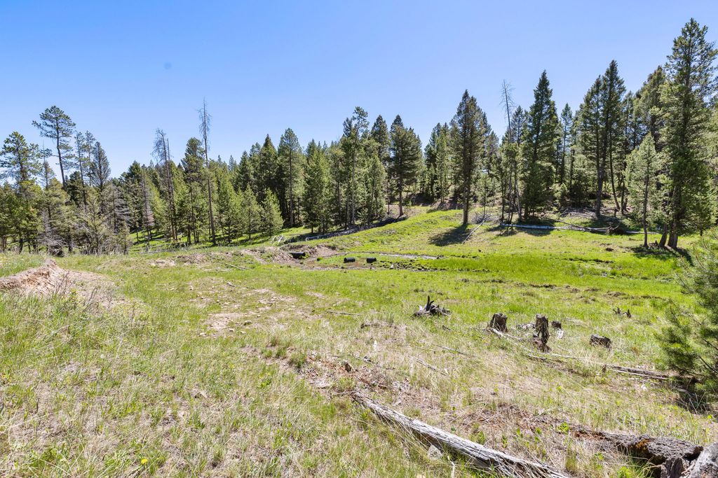 NHN N Fork Lower Willow Creek Road, Hall, MT 59837 photo 18