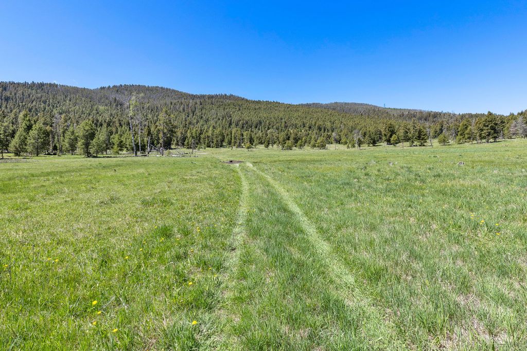 NHN N Fork Lower Willow Creek Road, Hall, MT 59837 photo 19